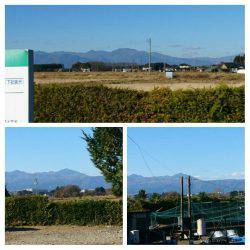 みどりフィッシングエリア 釣果