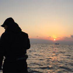 マタウマリンサービス 釣果