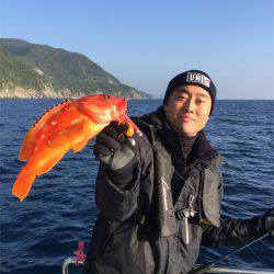 マタウマリンサービス 釣果