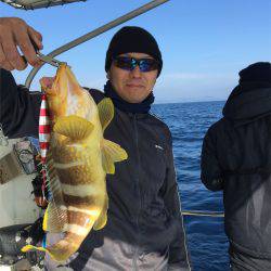 マタウマリンサービス 釣果