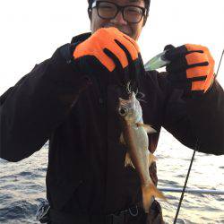 マタウマリンサービス 釣果