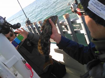 翔英丸 釣果