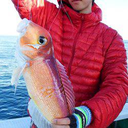 第三むつりょう丸 釣果