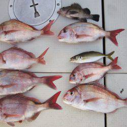 来温丸(らいおんまる) 釣果