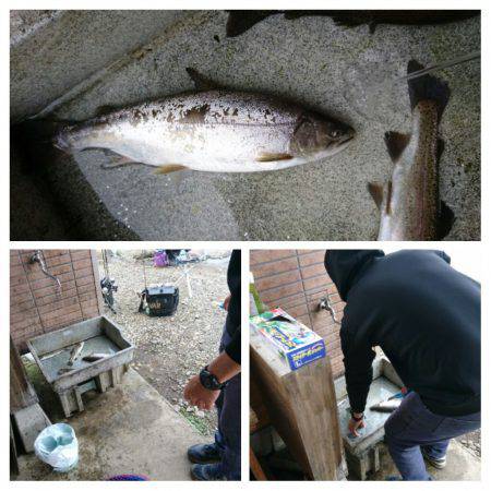 みどりフィッシングエリア 釣果