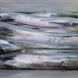 オーフリー 釣果