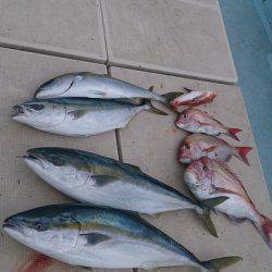 旭星釣りセンター 釣果