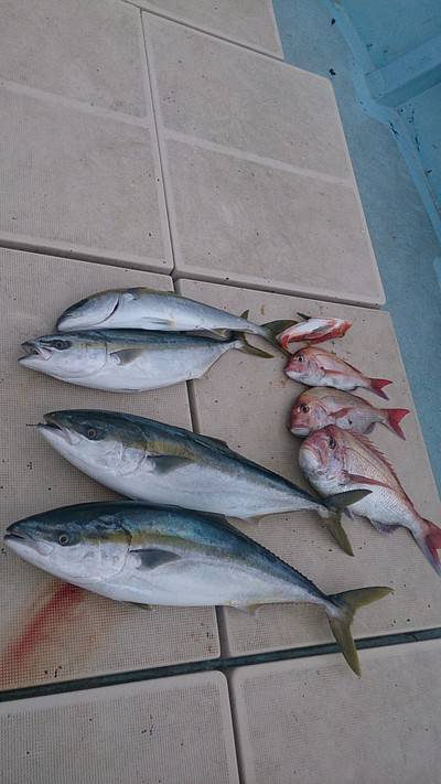 旭星釣りセンター 釣果