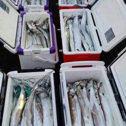 オーフリー 釣果