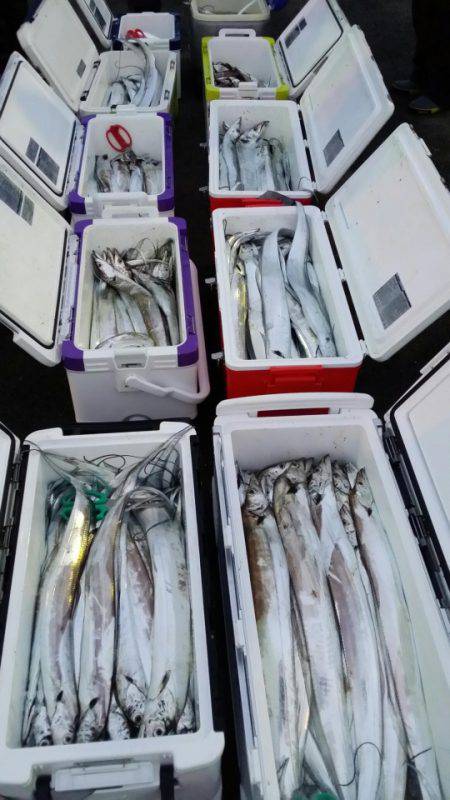 オーフリー 釣果