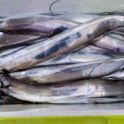 オーフリー 釣果