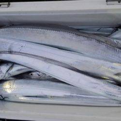 オーフリー 釣果