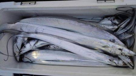 オーフリー 釣果