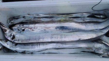 オーフリー 釣果