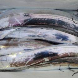 オーフリー 釣果