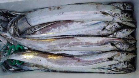 オーフリー 釣果