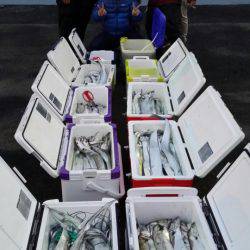 オーフリー 釣果