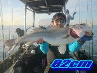 オーシャンマスター 釣果