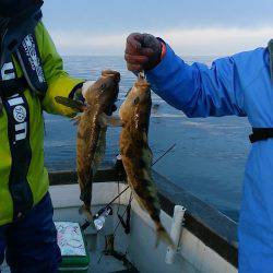 第八平成丸 釣果