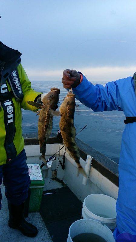 第八平成丸 釣果