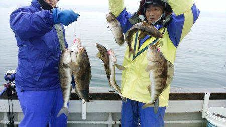 第八平成丸 釣果