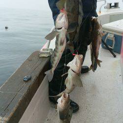 第八平成丸 釣果