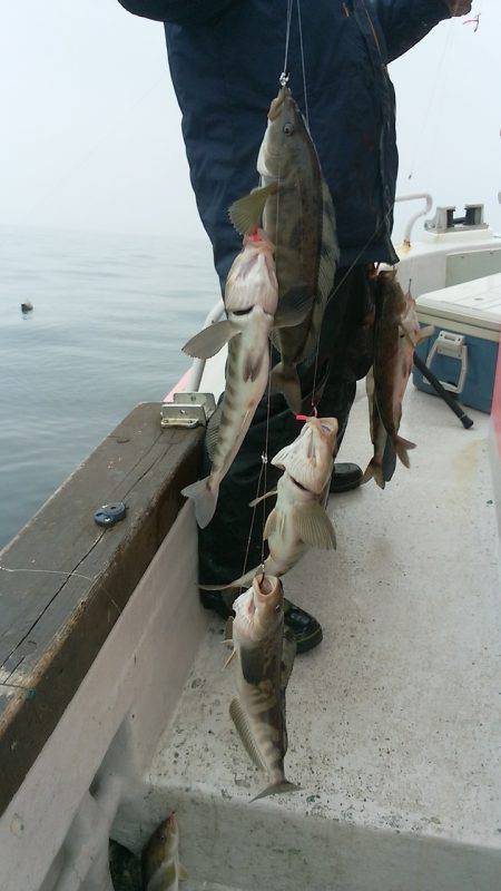 第八平成丸 釣果