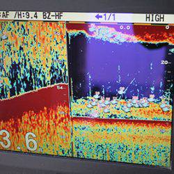 松本釣船２ 釣果