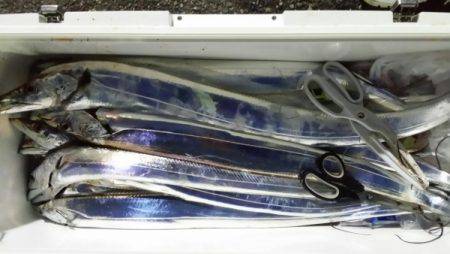 オーフリー 釣果