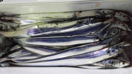 オーフリー 釣果