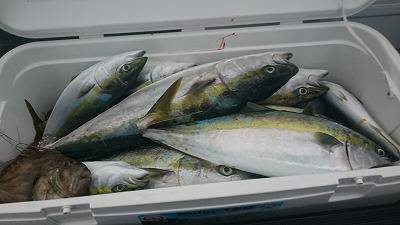 海龍丸(福岡) 釣果