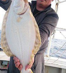 海龍丸(福岡) 釣果