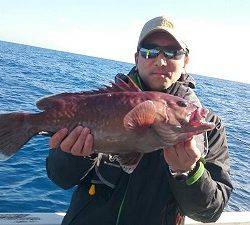 海龍丸(福岡) 釣果