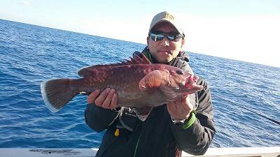 海龍丸(福岡) 釣果