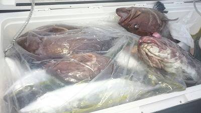 海龍丸(福岡) 釣果