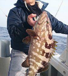 海龍丸(福岡) 釣果