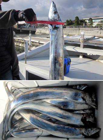 来温丸（らいおんまる） 釣果