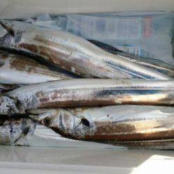 オーフリー 釣果