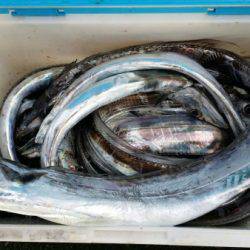 オーフリー 釣果