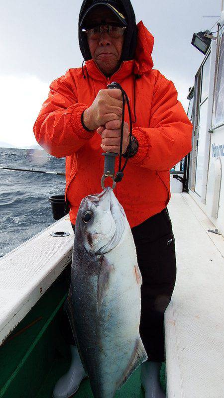 第三むつりょう丸 釣果