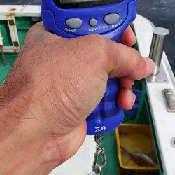 第三むつりょう丸 釣果