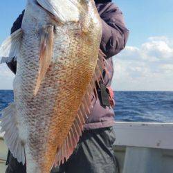 飛燕さくら丸 釣果