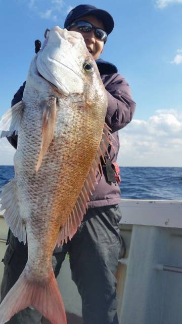 飛燕さくら丸 釣果