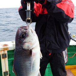 第三むつりょう丸 釣果