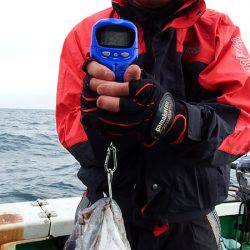 第三むつりょう丸 釣果