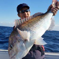 飛燕さくら丸 釣果