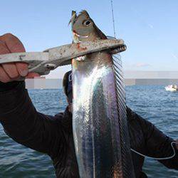 松本釣船２ 釣果