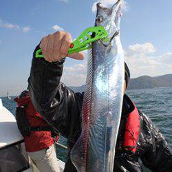 松本釣船２ 釣果