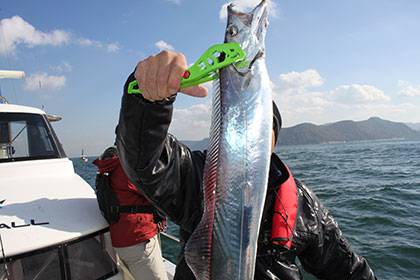 松本釣船２ 釣果