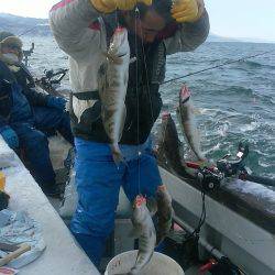 第八平成丸 釣果